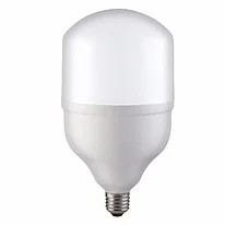 Лампа светодиодная LED Т100 30W 6400K E27