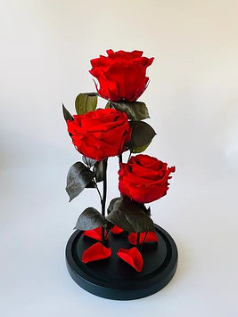 Стабилизированные розы в колбе ТРИО 32см