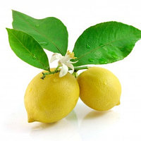 Отдушка Лимон эконом WFB 13035