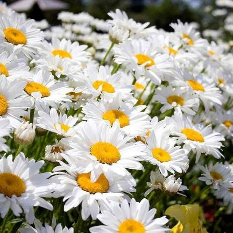 Таяқпен секс мультфильмі