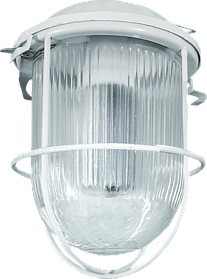 Diora NSP Light 7/600 4.5K