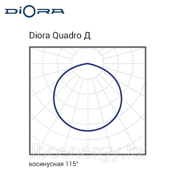 Diora Quadro Agro 30/4000 (PPF 70) Д лира - фото 7 - id-p100920611