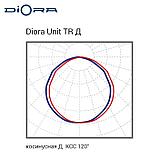 Diora Unit TR 65/10000 Д 3K консоль, фото 2