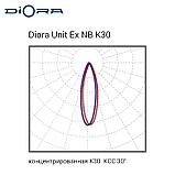 Diora Unit Ex NB 75/8000 K30 3K консоль, фото 6