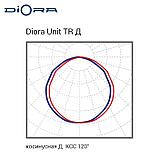 Diora Unit TR 110/17000 Д 3K консоль, фото 2