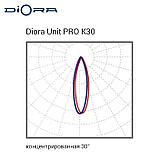 Diora Unit3 PRO 405/63500 К30 4К лира, фото 6