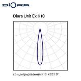 Комплект двойной Diora Unit Ex 110/13000 К10 3K лира, фото 2