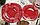 CARINA Constellation Red столовый сервиз на 6 персон из 19 предметов, фото 2