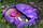 Песочница Бегемот с крышкой фиолетовый 18-518, фото 4