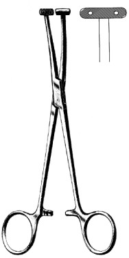 Wilet Martel Fcps Fcps 19cm 19cm