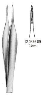 Feilchenfeld Splinter fcps 9cm