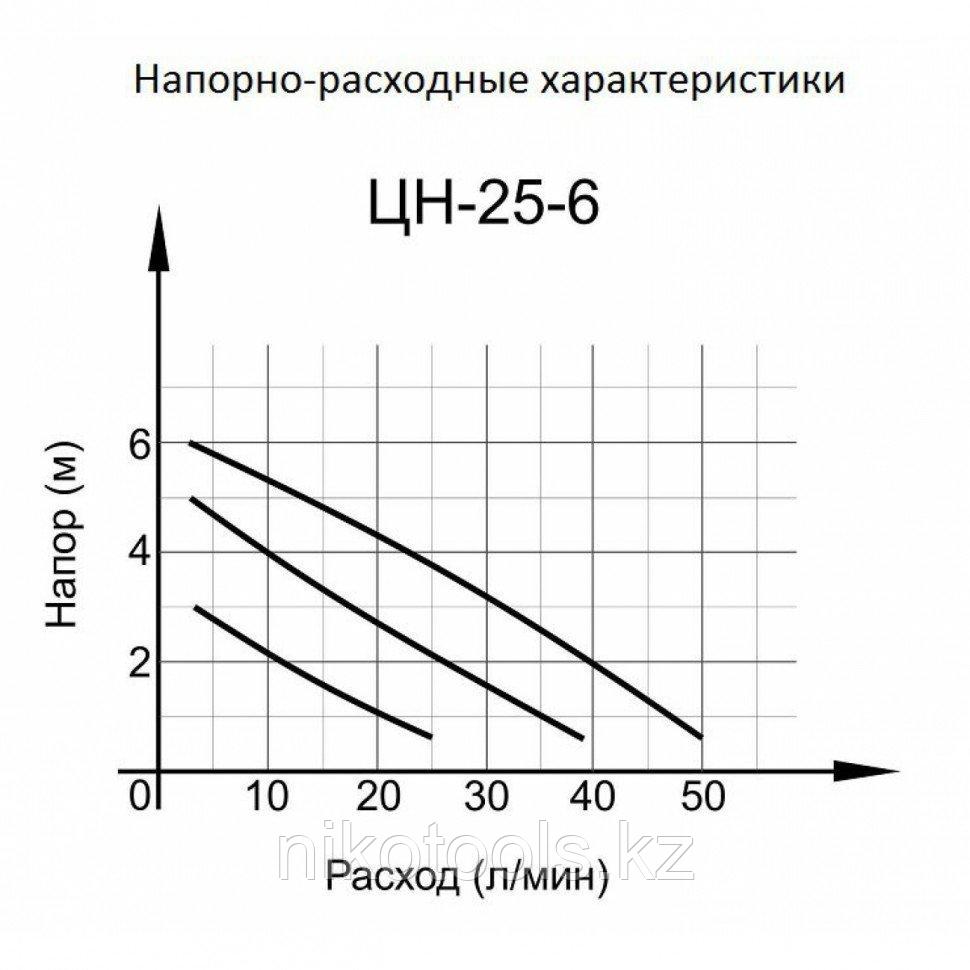 Циркуляционный насос ВИХРЬ ЦН-25-6 - фото 2 - id-p101051843