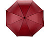 Зонт-трость Радуга, бордовый, фото 8