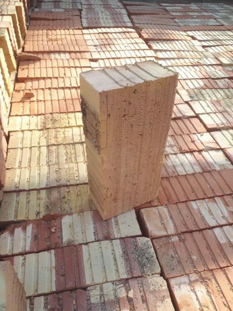 Әйел жыныс мүшесінің жамбас аймағы Инцест жас порно