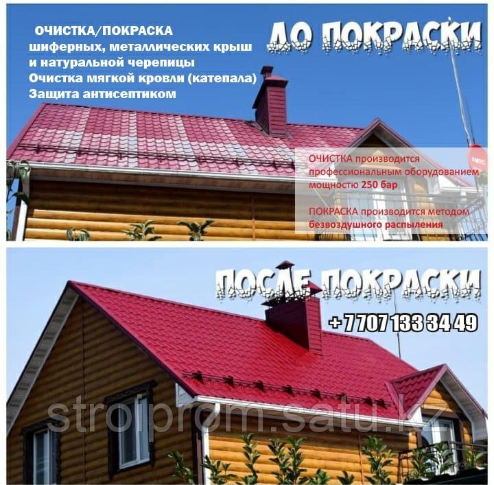 Покраска крыши - фото 4 - id-p54783304