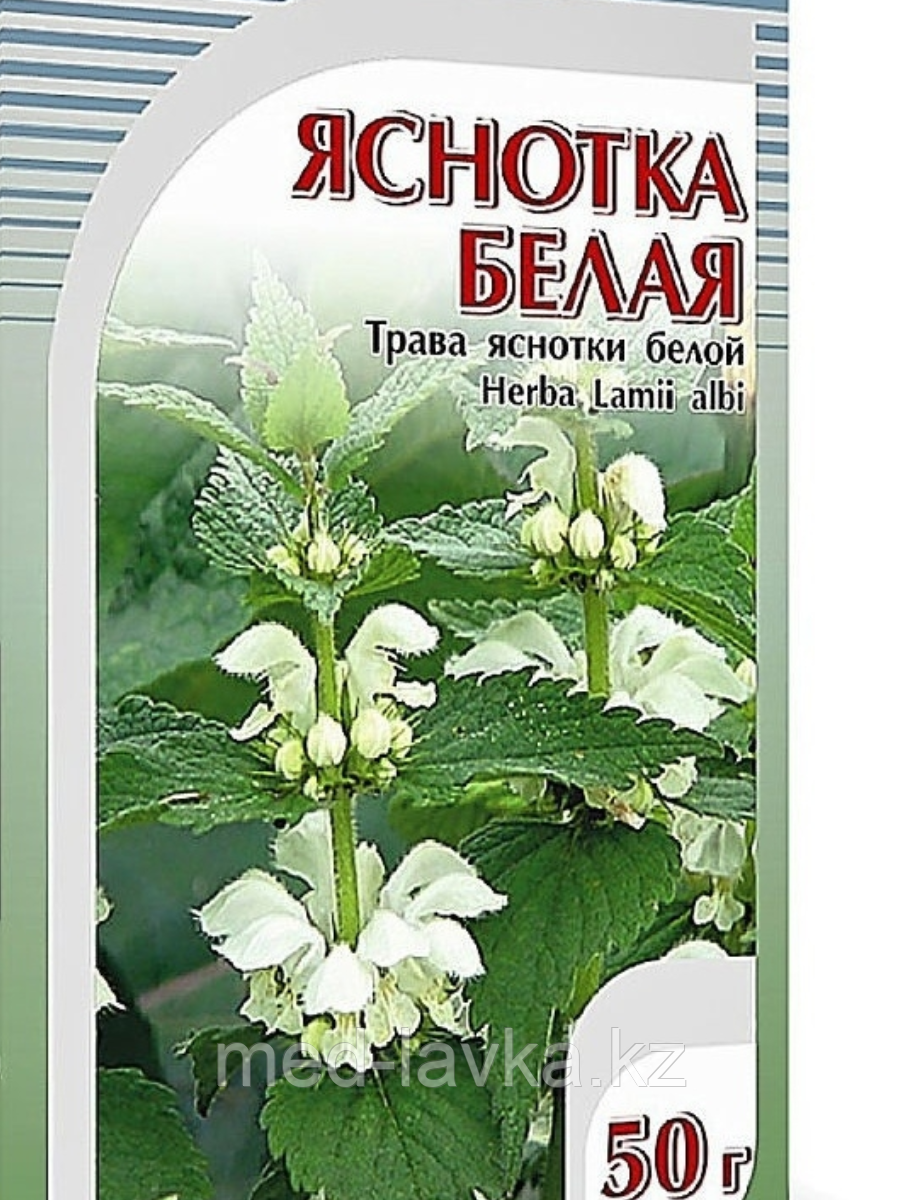 Яснотка белая, 50 гр