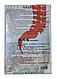 Инфракрасный пластырь "Ноха"(NSOXC) от подагры, артрита и артроза, 10 шт, фото 2