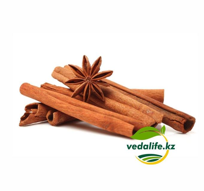 Порно ұлы әкесінің сексуалды ғашығын трахает етті