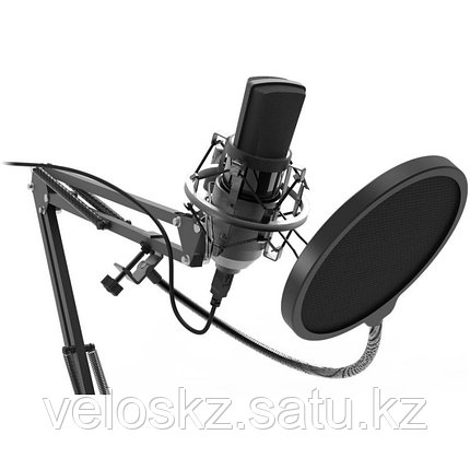 RITMIX Микрофон RITMIX RDM-169 черный, фото 2