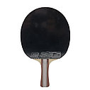 Ракетка для настольного тенниса Double Fish 2J-C Series, фото 4