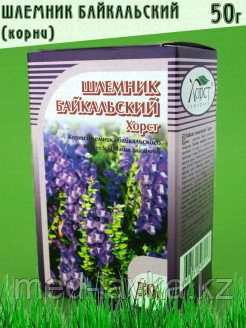 Настойка Шлемник Купить В Аптеке