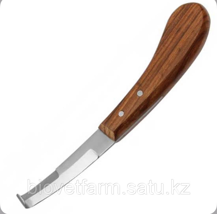 Нож копытный по Бурдиццо обоюдоострый с деревяной ручкой  правостороннийВМ