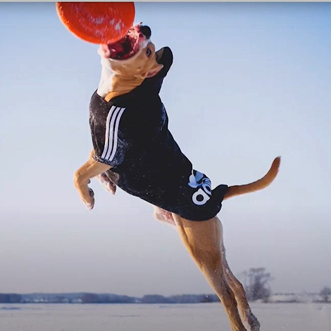 Игрушка для животных Doglike Тарелка для собак летающая Малая, оранжевый, диаметр 18 см - фото 2 - id-p101152347