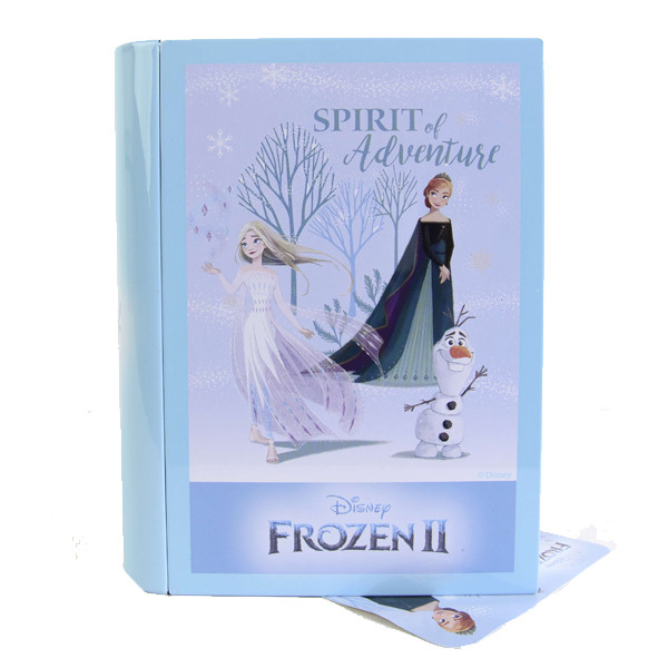 Игровой набор детской косметики для лица и ногтей в футляре книга Markwins  Frozen