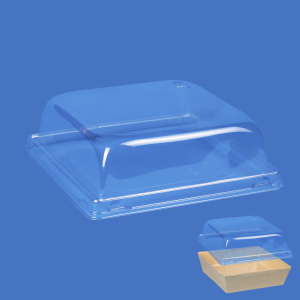 Россия Крышка ПЭТ к упаковке ECO SmartPack 900 17,8х17,8х5,6см купольная