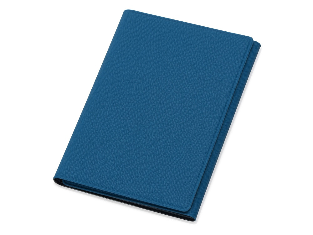 Обложка на магнитах для автодокументов и паспорта Favor, синяя - фото 1 - id-p101213763
