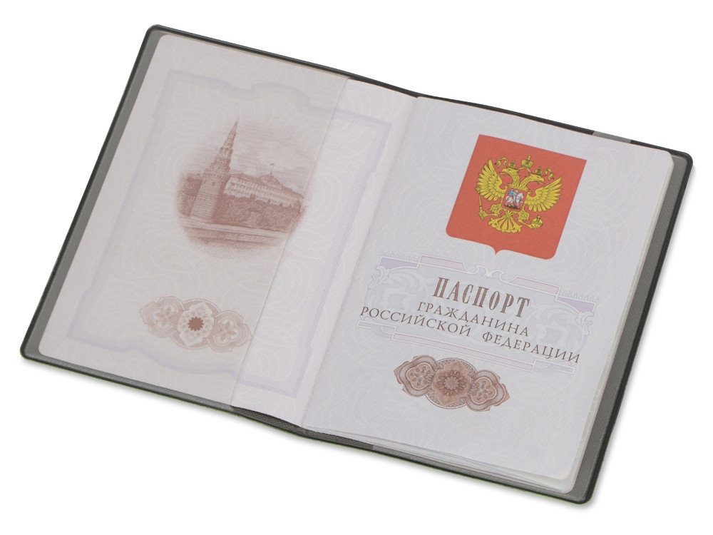 Классическая обложка для паспорта Favor, зеленое яблоко/серая - фото 2 - id-p101213769