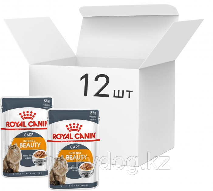 Royal Canin HAIR & SKIN в соусе Паучи для кошек красота шерсти (12 шт. по 85 гр), фото 1