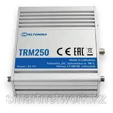 LTE-модем Teltonika TRM250 - фото 1 - id-p101357486