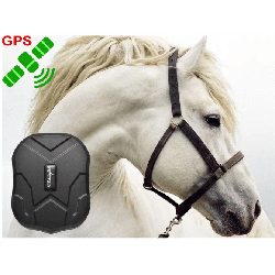 GPS Трекер TKStar TK - 905 для Лошадей