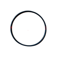 SANY Уплотнительное кольцо, 125×3.55, A210608000320