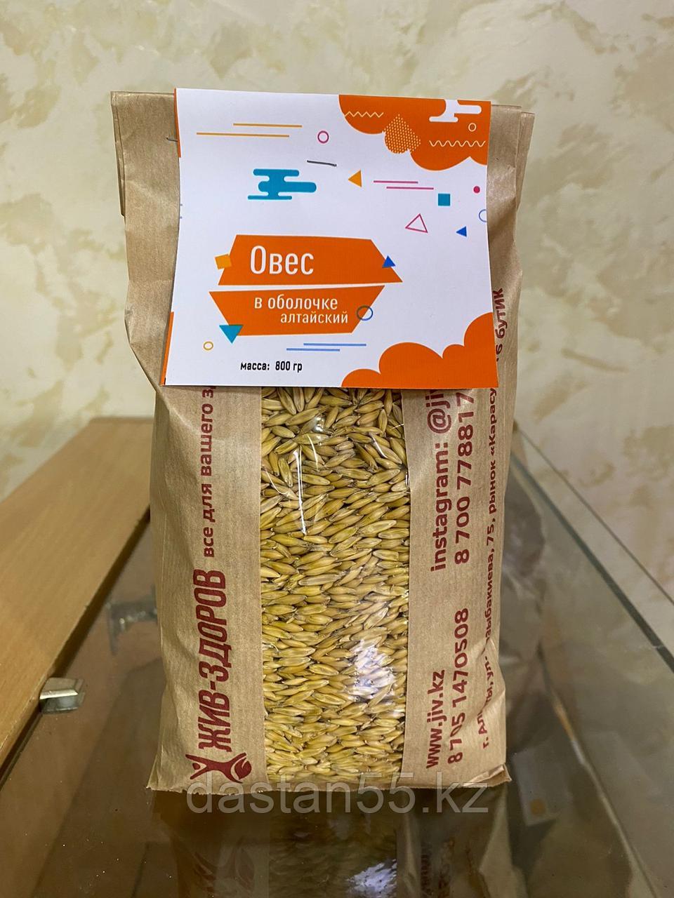 Овес в оболочке (Россия), 1 кг, фото 1