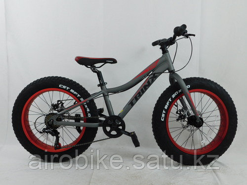 Велосипед TRINX T106 20 2021 M серый