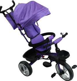Детский трехколесный велосипед Nika Kids Барс 001, фиолетовый