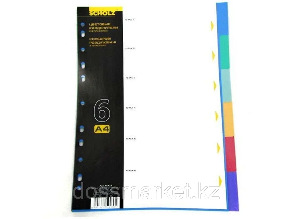 Разделитель пластиковый BINDERMAX, А4, 6 листов, цветной