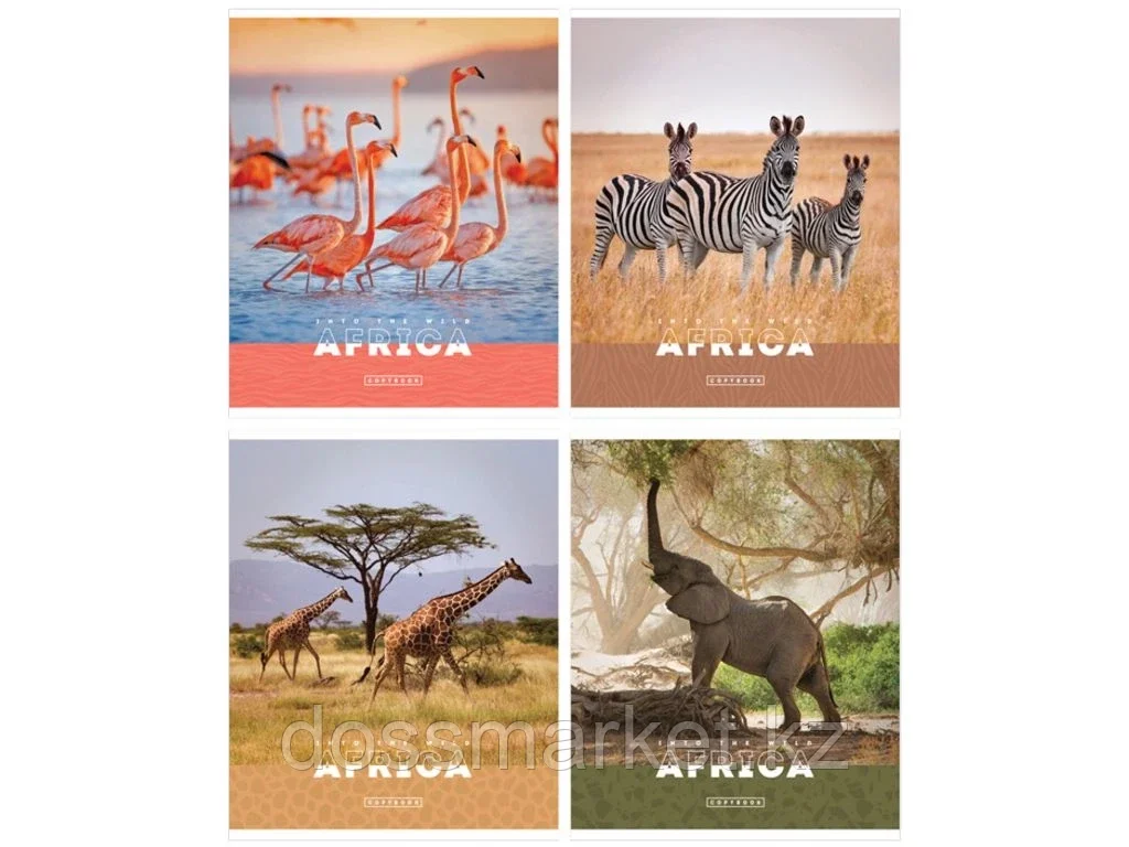 Тетрадь общая ArtSpace "Животные. Nature of Africa", А5, 48 листов в клетку, на скрепке