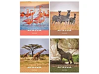 Тетрадь общая ArtSpace "Животные. Nature of Africa", А5, 48 листов в клетку, на скрепке