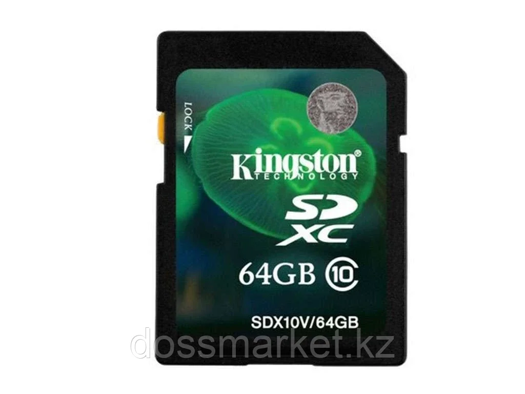 Карта памяти Kingston SD 64GB Class 10 - фото 1 - id-p101460734