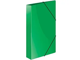 Папка на резинке Berlingo "Standard", А4 пластиковая, зеленая