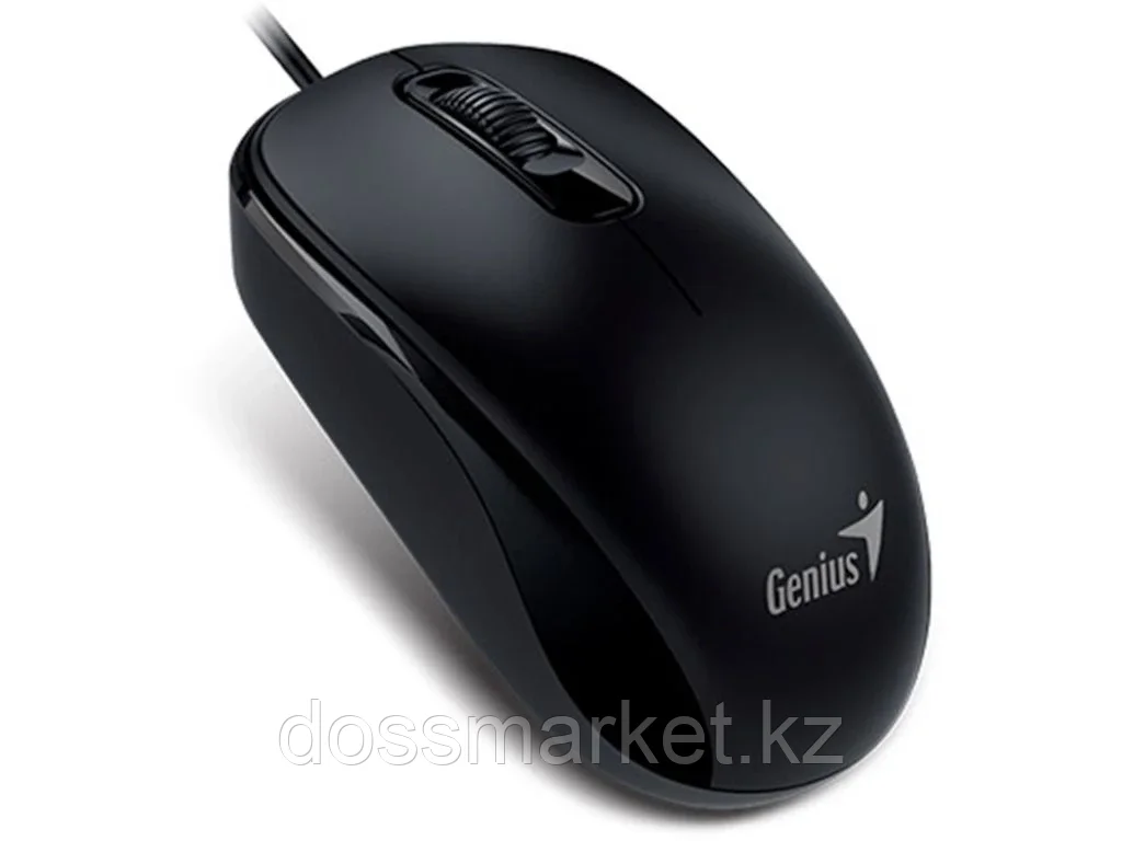 Мышь Genius DX-110 черная USB - фото 1 - id-p101460144