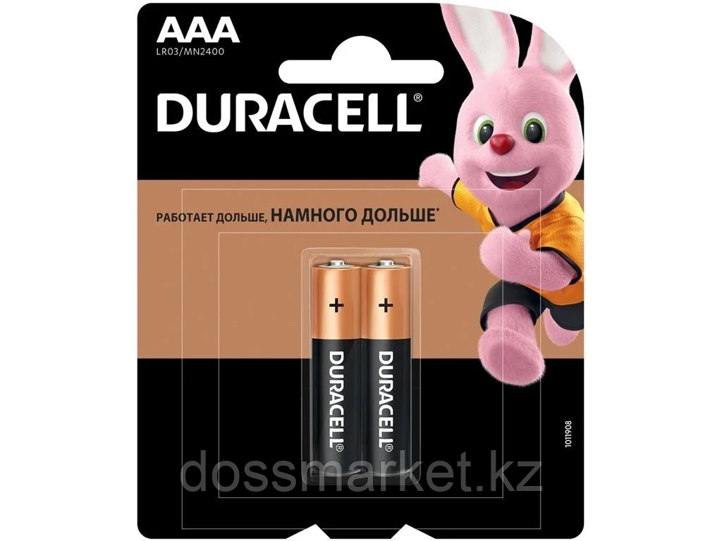 Батарейки DURACELL LR03 BASIC AAA (2 шт/бл) - фото 1 - id-p101461402