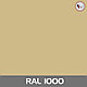 Ламинированный гипсокартон RAL 1000, фото 2