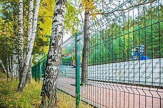 Панель для 3D ограждений металлическая, 1530х2500 мм. пруток 3,5 мм., фото 4