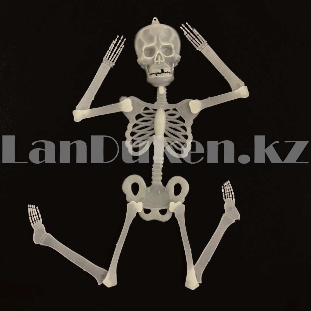 Светящийся (фосфорный) скелет для Хэллоуина 30 см - фото 4 - id-p101513207