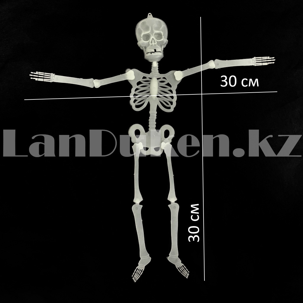 Светящийся (фосфорный) скелет для Хэллоуина 30 см - фото 2 - id-p101513207