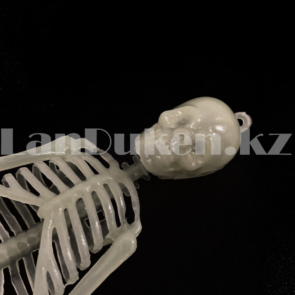 Светящийся (фосфорный) скелет для Хэллоуина 20 см - фото 3 - id-p101513213